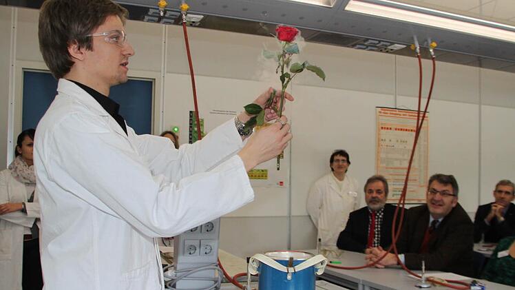 Im flüssigen Stickstoff gefriert die Rose in Sekundenschnelle.