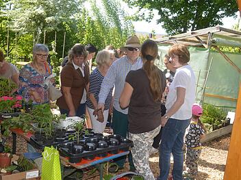 Bei der Pflanzentauschb&ouml;rse des Obst- und Gartenbauvereins werden nicht nur Pflanzen, sondern auch Erfahrungen ausgetauscht. Foto: Archiv Arthur Stollberger