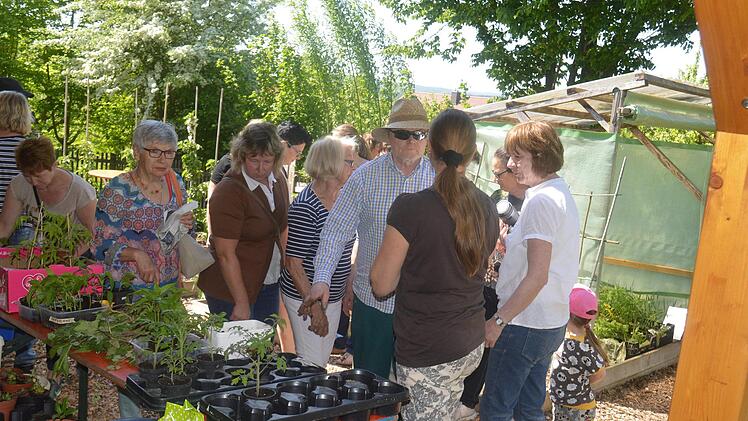 Bei der Pflanzentauschb&ouml;rse des Obst- und Gartenbauvereins werden nicht nur Pflanzen, sondern auch Erfahrungen ausgetauscht. Foto: Archiv Arthur Stollberger