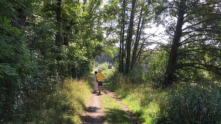 Am östlichen Eingang des Schlossparks, dahinter soll eine Wiese wieder Park  werden.Foto: Schreiber