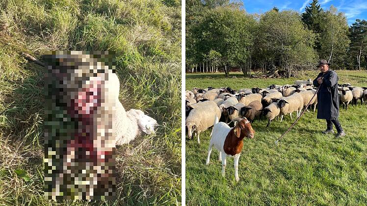 SplitImage 1696660926