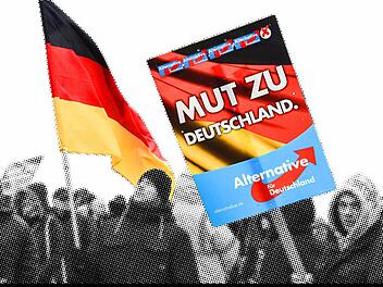AfD-Anhänger am 30.01.2016 in Neubrandenburg (Mecklenburg-Vorpommern) auf dem Marktplatz. Foto: Bernd Settnik/dpa