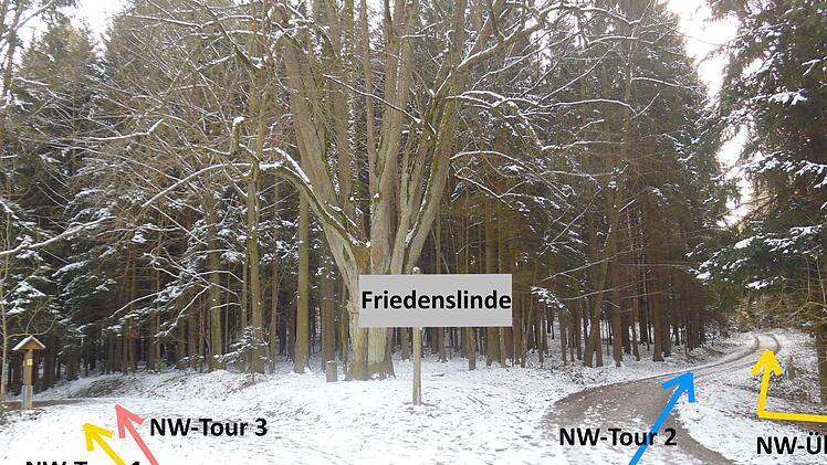 Bei der Friedenslinde, die sich hier noch winterlich präsentiert, zweigen die NW-Touren ab.