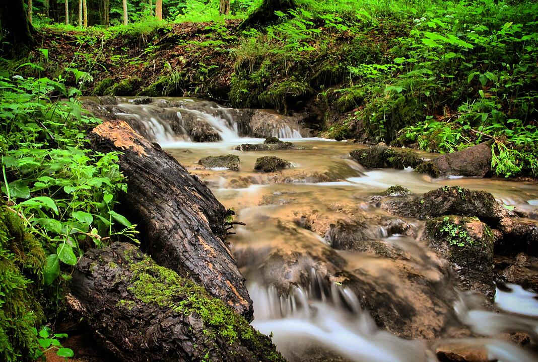 Die schönsten Sommerfotos aus Bad Kissingen und Umgebung