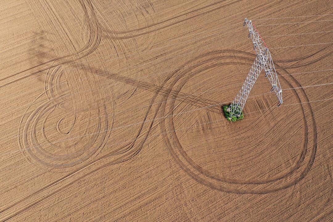 Feldlinien in Sachsen