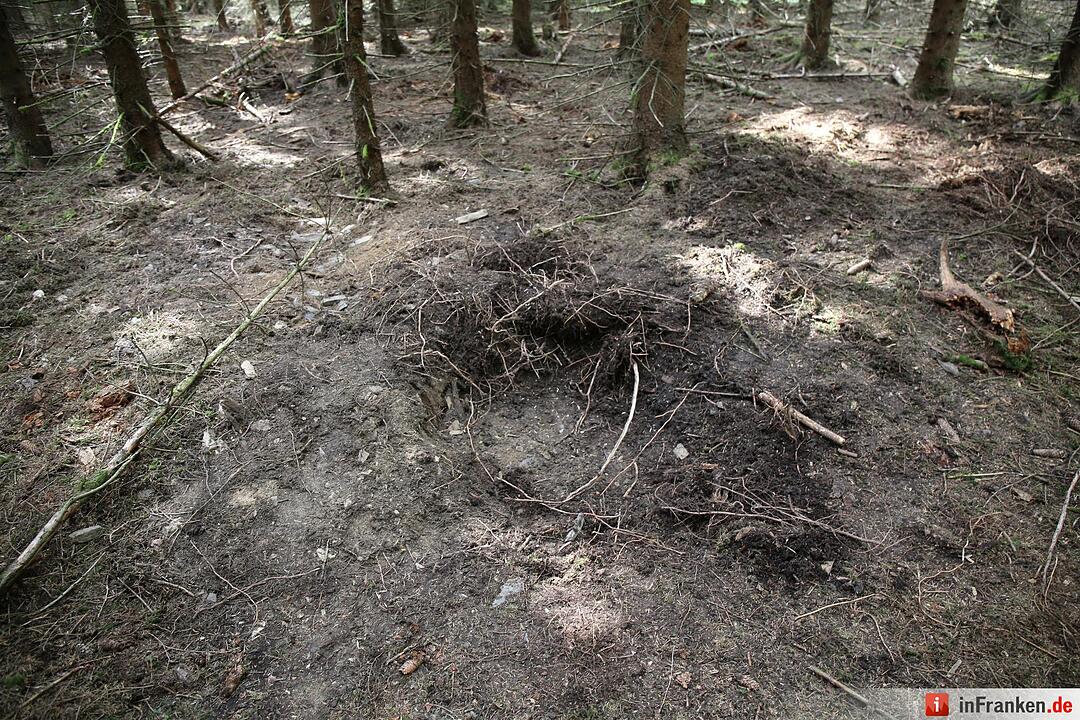 Fundort von Peggys Leiche