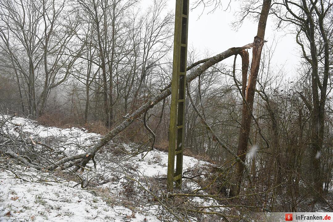 Sturmtief "Egon" hinterlässt seine Spur in Bamberg