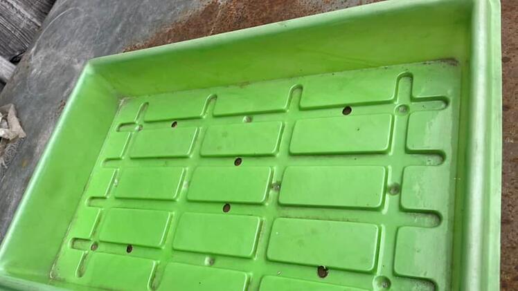 Bamberger "Hofstadt-Gärtnerei" schließt - jetzt läuft ein großer Räumungsverkauf