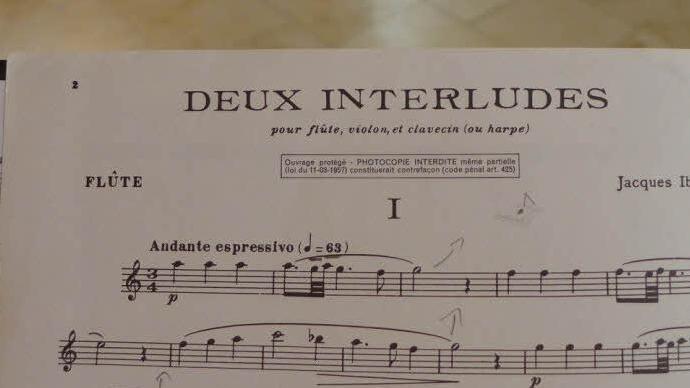 Foto: Sabine Meißner