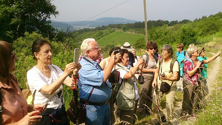 Am Wegesrand in den Weinbergen ist botanisch viel Interessantes zu sehen, hier im Ofenthal bei Hammelburg.Elisabeth Assmann
