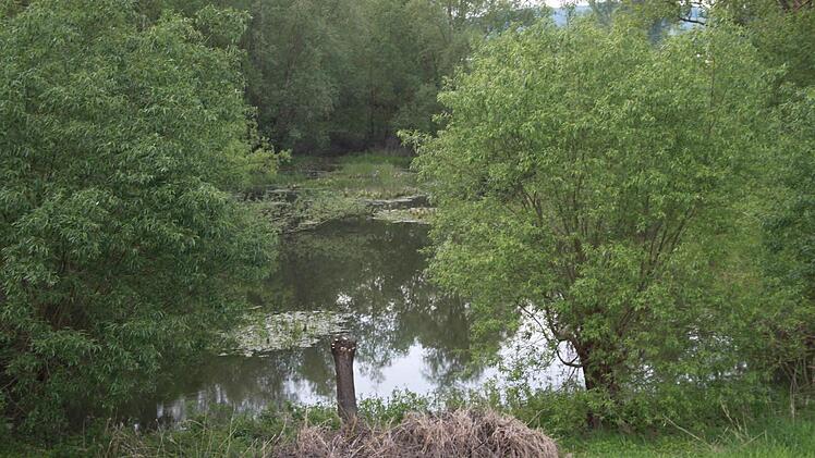 Die Flutmulden im Norden des Ortes.  Foto: Andreas Schmitt