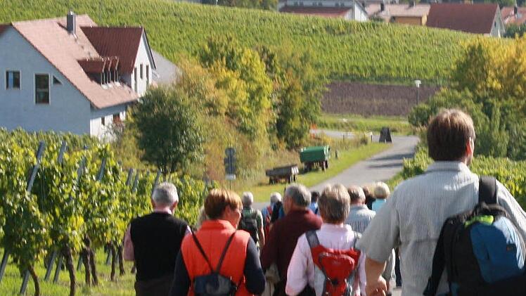 Entdecker zu Fuß: Wanderer kommen nach wie vor gern ins fränkische Weinland.   Foto: Archiv