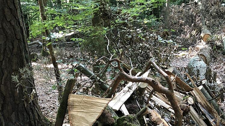 Das Kunstwerk Lebenslauf im Wald für die Seele.Foto: Uta Galuska