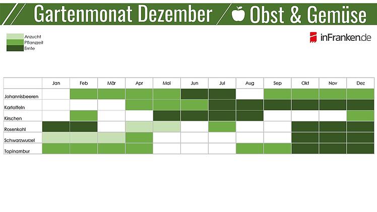 Saisonkalender: Obst & Gemüse im Dezember