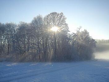 Sonnenaufgang bei Thuisbrunn. Foto: Frank Hofmann