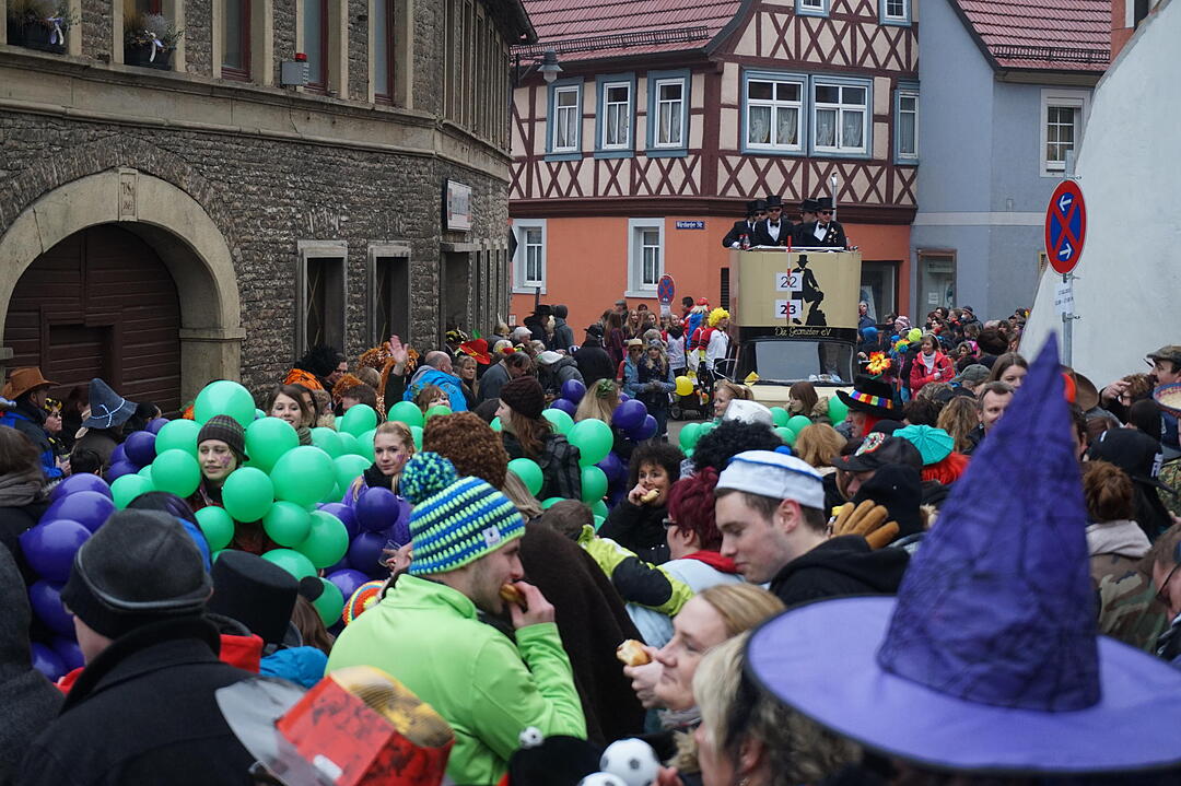 Landkreisfaschingszug 2015
