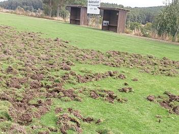 Eine Spur der Verw&uuml;stung hinterlie&szlig; eine Rotte Wildschweine auf dem Hauptplatz des FC Frimmersdorf.  Foto: privat