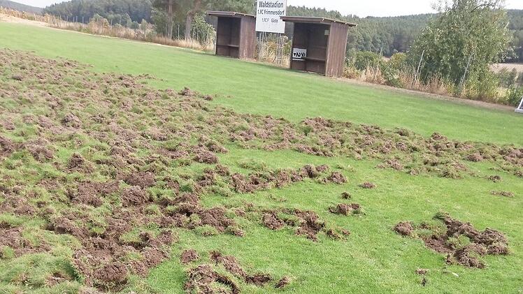 Eine Spur der Verw&uuml;stung hinterlie&szlig; eine Rotte Wildschweine auf dem Hauptplatz des FC Frimmersdorf.  Foto: privat