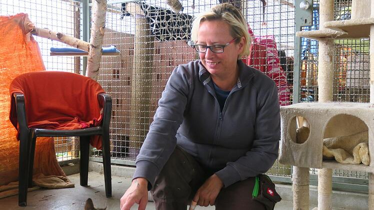 Die Leiterin des Tierheims Lichtenfels Sandra Schunk sorgt sich um das Wohl der Katzen.