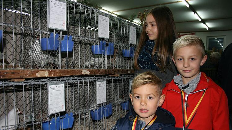 Paul, Leon und Lusia Gehring k&uuml;mmern sich mit Opa Alfred um das Wohl ihrer Tauben.Maria L&ouml;ffler