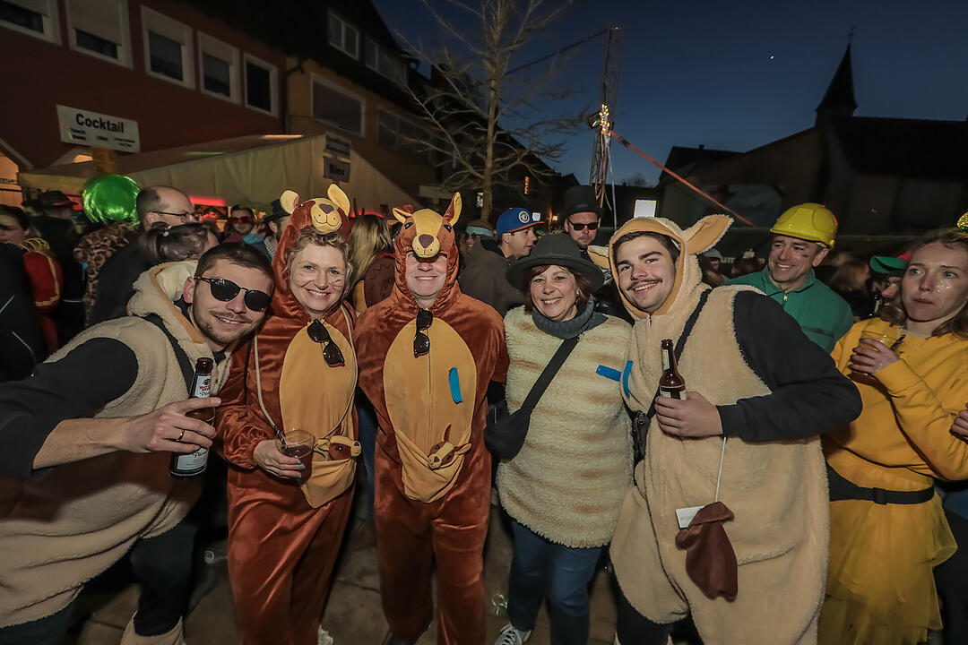 Fasching 2025 in Unterfranken!