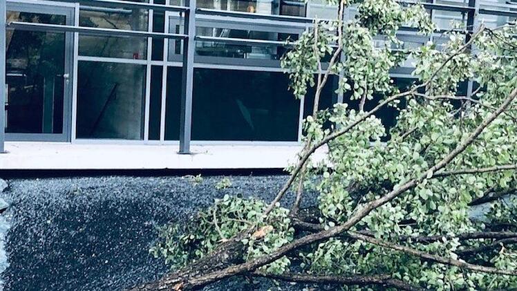 Auf dem Stettler-Gelände nach dem SturmFoto: Firma Stettler