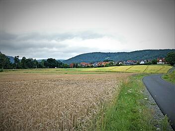Auf dieser Fläche bei Harsdorf soll eine Wohnbaufläche geschaffen werden.