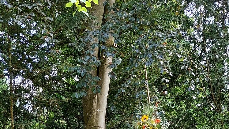 Coburg: 44 anonyme Bestattungen alleine in diesem Jahr - Das steckt dahinter