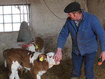 Karl Schneider kümmert sich liebevoll um ein Kalb.Fotos: Beatrix Lieb/privat