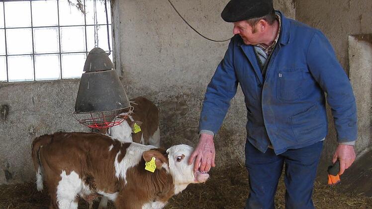 Karl Schneider kümmert sich liebevoll um ein Kalb.Fotos: Beatrix Lieb/privat
