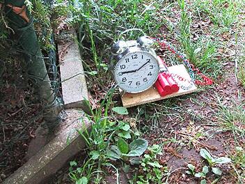 Diese und andere "Bomben" waren am Samstag in Bamberg versteckt.  Foto: Polizei