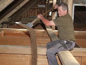 Die Samen müssen absolute sortenrein sein, die Vermehrung ist aufwändig, erklärt Landwirt Reinhard Heil. Heil ist auch ein Kämpfer gegen die Gentechnik. Sein Saatgut hat Ökoqualität.  Foto: Sonja Adam