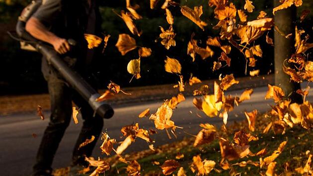 Laub im Herbst richtig entfernen: So vermeidest du hohe Bu&szlig;gelder