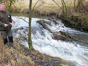 Nahe der Straße nach Sandhof hat der Biber diesen Damen gebaut, um die Baunach ob des geringen Wasserstandes aufzustauen, damit der Eingang seines Baues, der viel weiter flußaufwärts liegt unterhalb der Wasseroberfläche liegt. Foto: Ralf Kestel