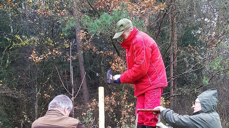 Bei seiner ersten Baumpflanzung hatte Dr. Pfann Hilfe von drei Freiwilligen.