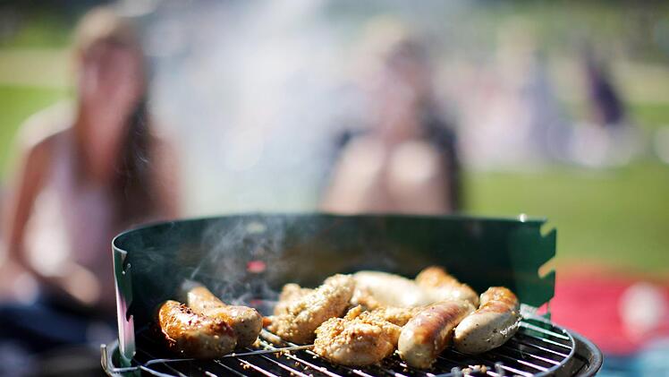 Wo lässt sich in Franken gemütlich im Freien grillen? Symbolfoto: Rolf Vennenbernd/dpa