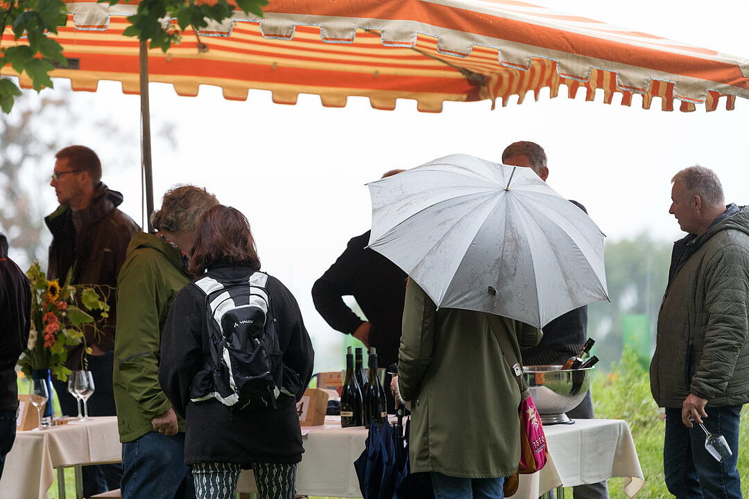 &Ouml;kowein-Pr&auml;sentation