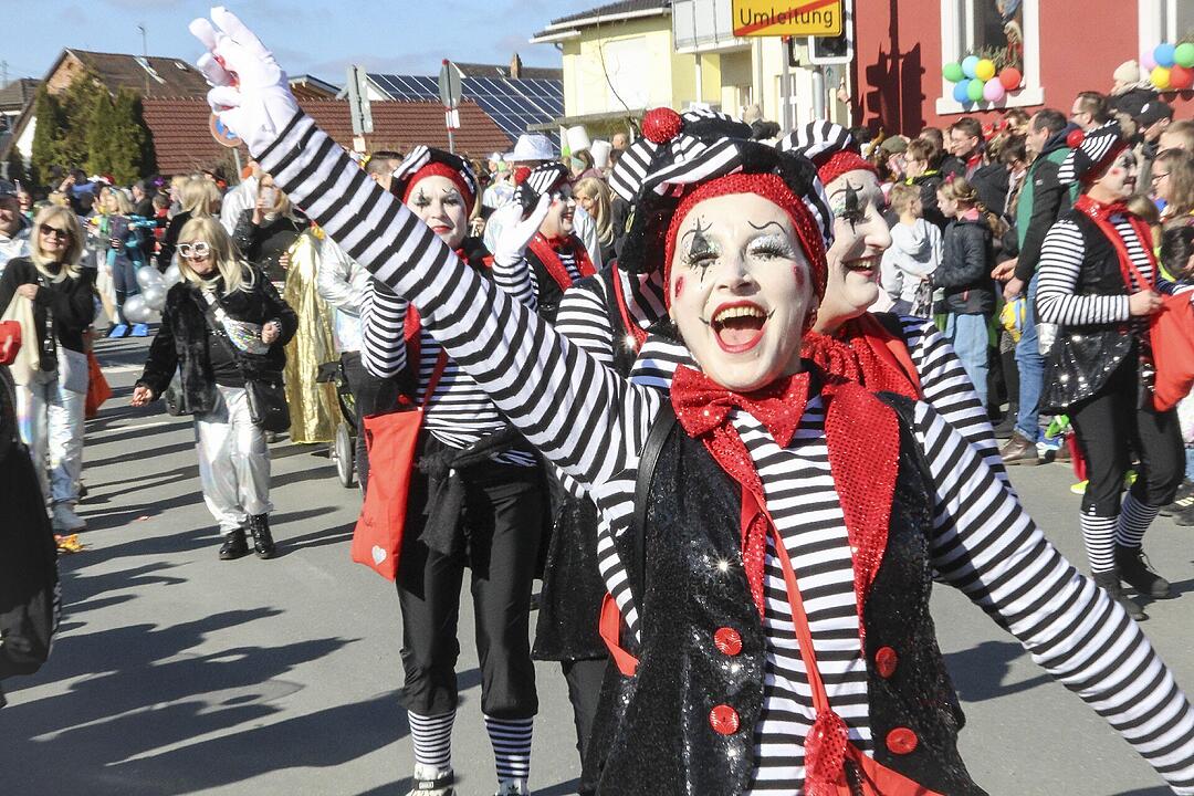 Fasching 2025 in Stadtsteinach!