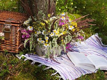 Zu einem ungew&ouml;hnlichen Einsatz wurden Polizisten aus Lichtenfels gerufen: Ein Mann picknickte nackt auf einer Wiese. Symbolbild: Pixabay/KristineLejniece