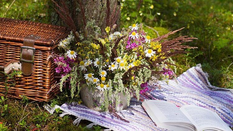 Zu einem ungew&ouml;hnlichen Einsatz wurden Polizisten aus Lichtenfels gerufen: Ein Mann picknickte nackt auf einer Wiese. Symbolbild: Pixabay/KristineLejniece