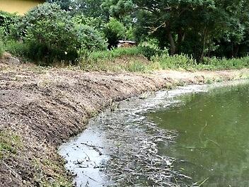 So sah das Weiherufer nach Mäh- und Mulcharbeiten aus. Foto: Christian Wosegien