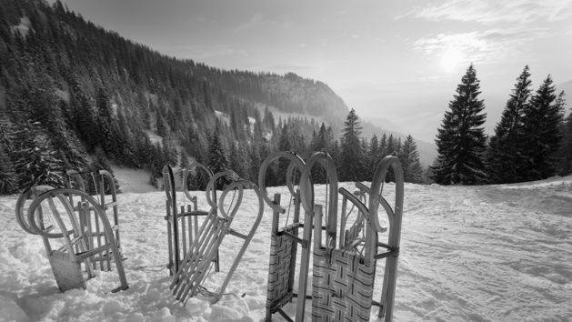 Schlitten fahren, Rodeln, Schlitten, Piste