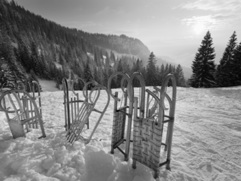 Schlitten fahren, Rodeln, Schlitten, Piste
