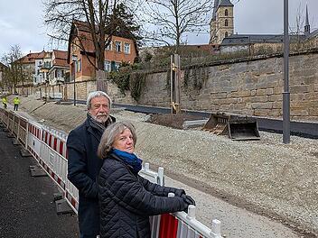 Kastanien am Michaelsberg in Bamberg: Unsensibler Eingriff?