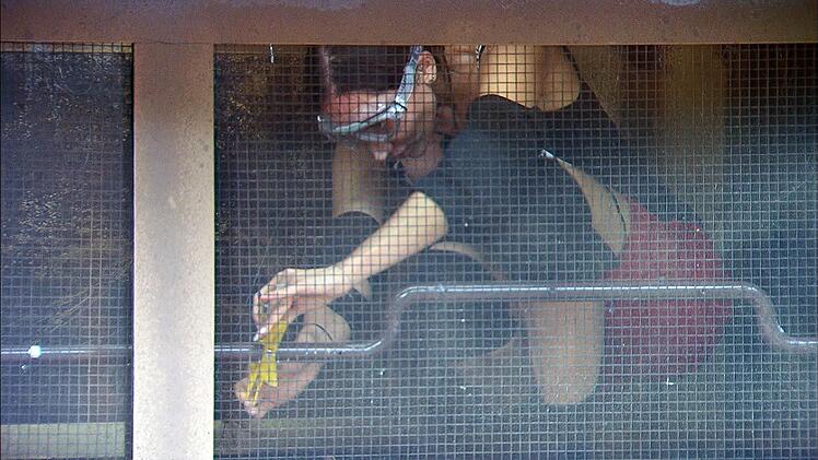 Auch das Reality-Sternchen schlug sich bravour&ouml;s in ihrer finalen Pr&uuml;fung. Wie Gil holte Samira das Maximum an Sternen heraus. Respekt!