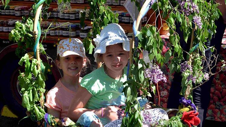 Dem Grundgedanken des Ökofestes verpflichtet, ließen diese beiden jungen Besucher sich durch regenerative Energien befördern.