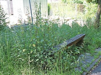 Beschwerden gibt es wegen ungepflegter Anlagen.  Foto: Thomas Malz