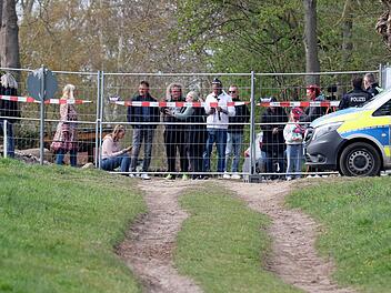 Buckelwal liegt in Wismarer Bucht