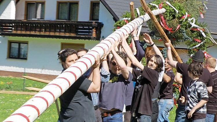 Einen ordentlichen Maibaum aufzustellen, ist kein einfaches Unterfangen. Alle kräftigen Burschen im Dorf müssen mit zupacken, wie in Weißenbrunn vorm Wald (Foto), damit es gelingt. Ist es dann geschafft, wird gefeiert - so will es der Brauch. Foto: Rainer Lutz / Archiv