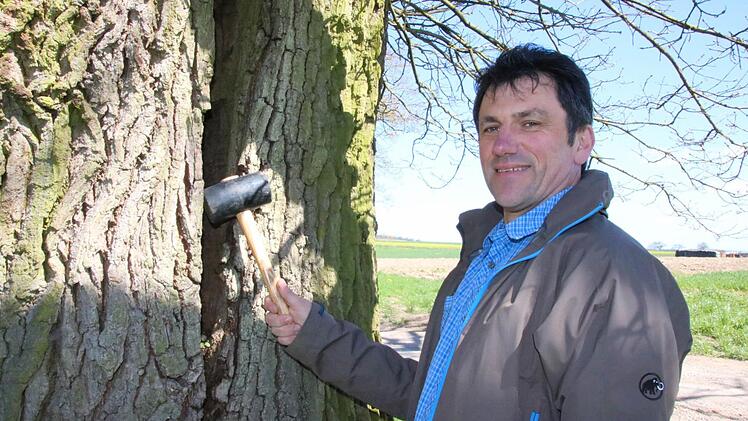 Fachberater Dieter Büttner betreut die 82 Naturdenkmäler im Landkreis Bad Kissingen. Foto: Ralf Ruppert